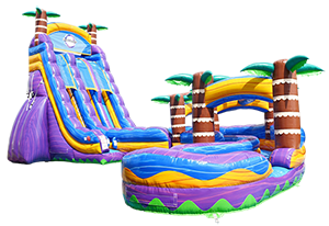 Slides - Wet/Dry Slides - Wet/Dry